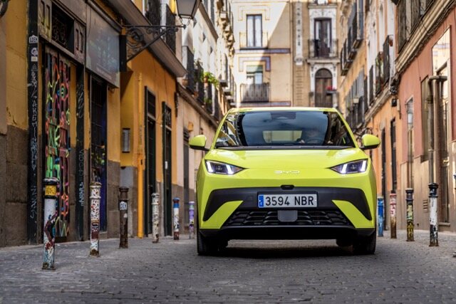 DOLPHIN SURF_Lime Green